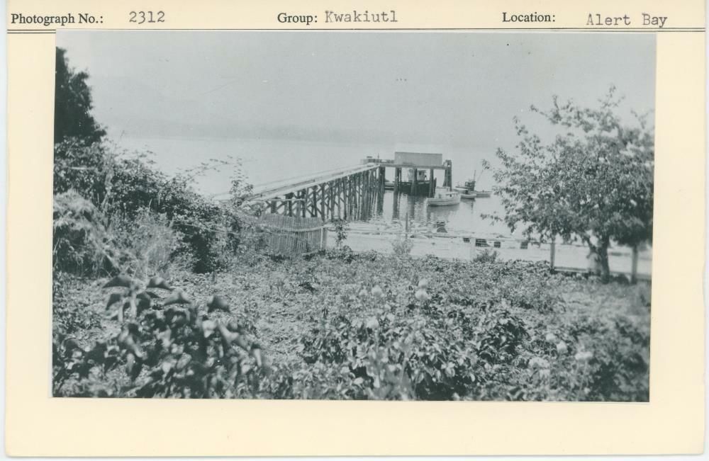 Image representing photograph.