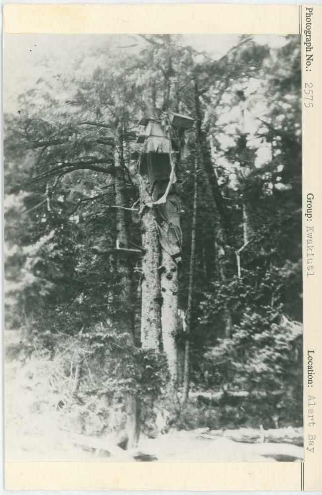 Image representing photograph.