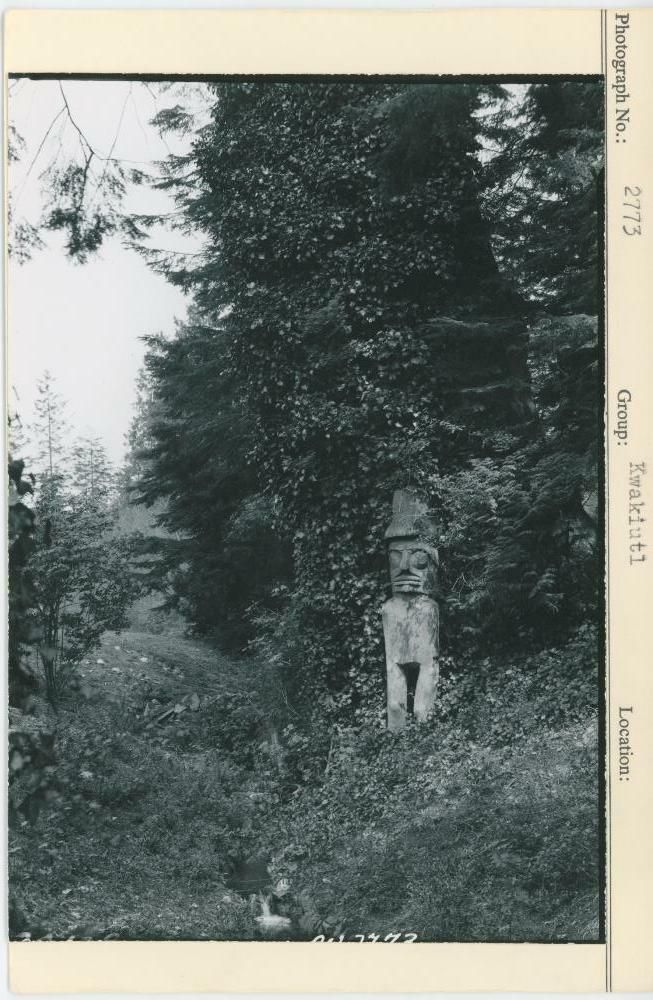 Image representing photograph.