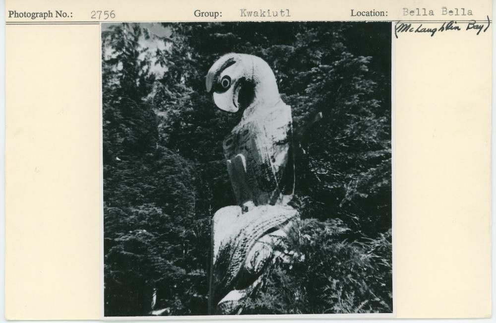 Image representing photograph.