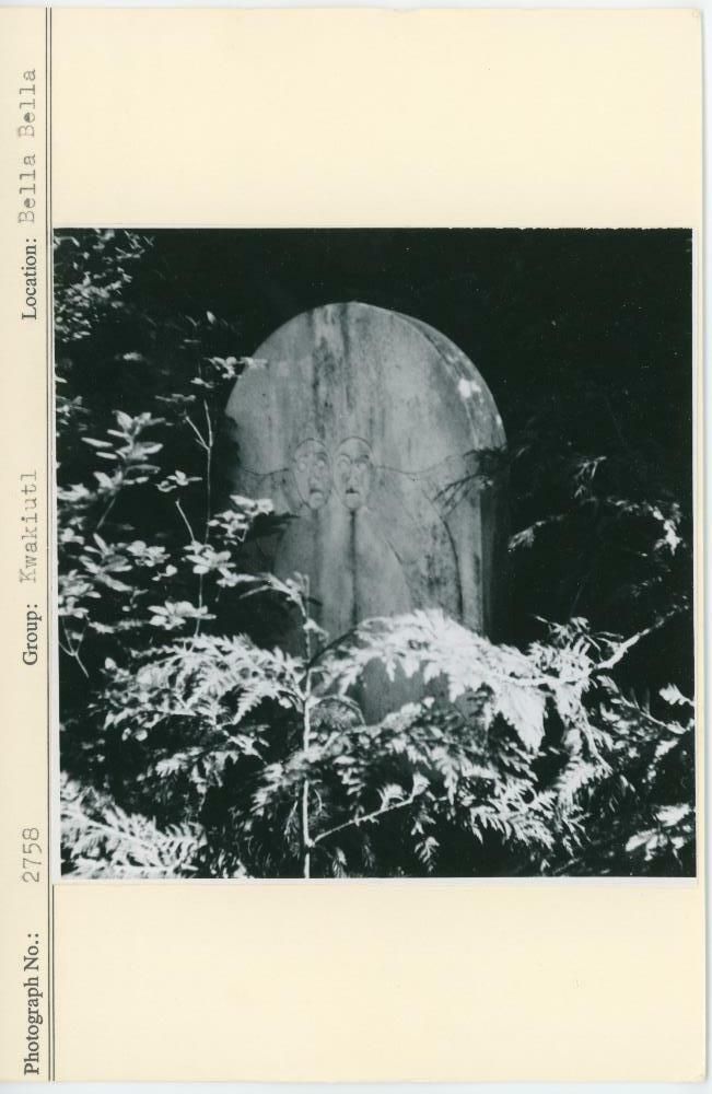 Image representing photograph.