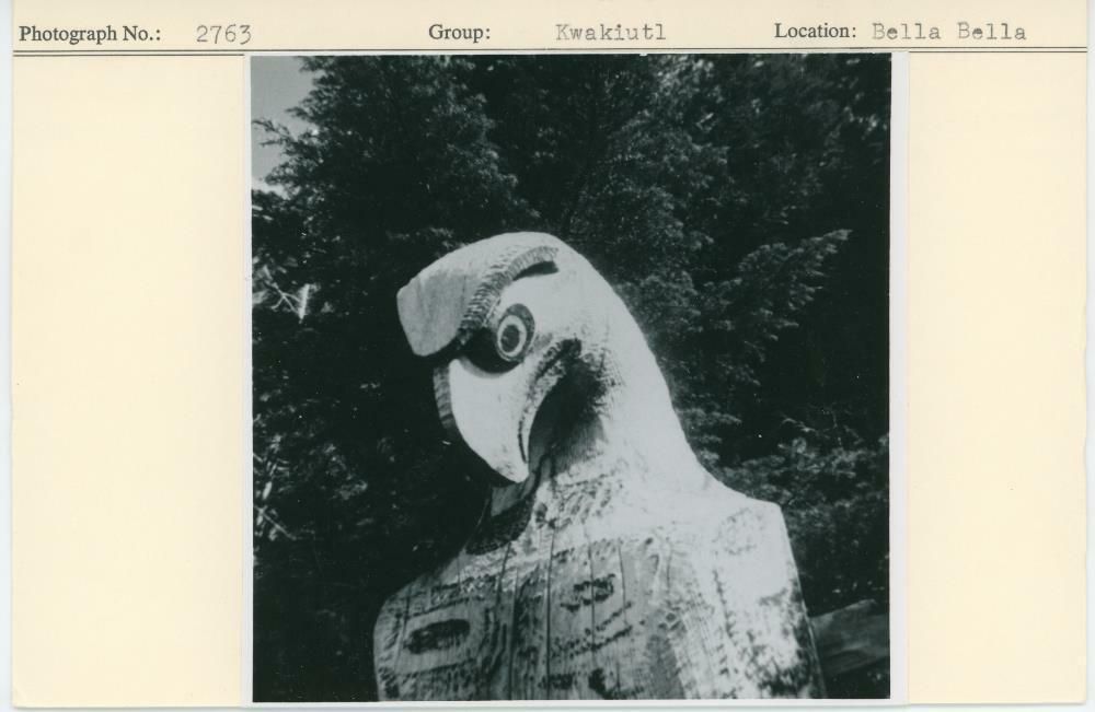 Image representing photograph.