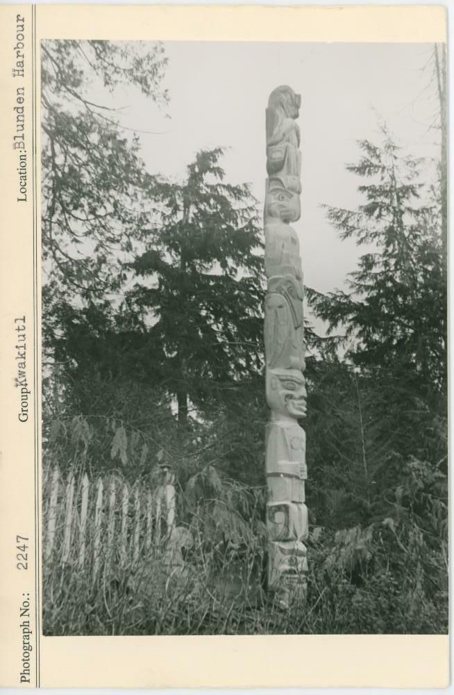 Image representing photograph.