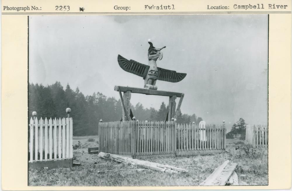 Image representing photograph.