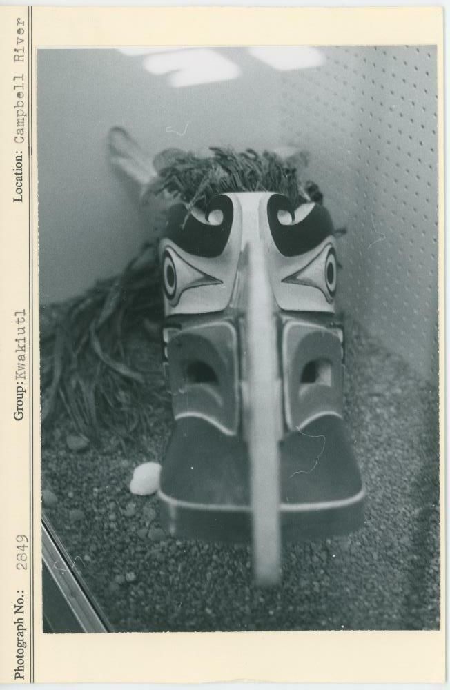 Image representing photograph.