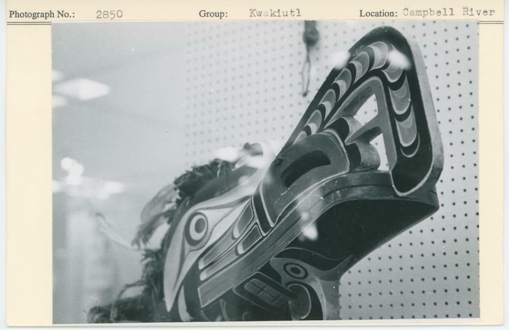 Image representing photograph.