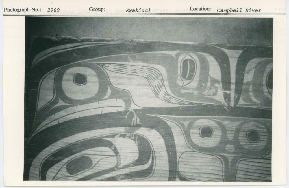 Image representing photograph.