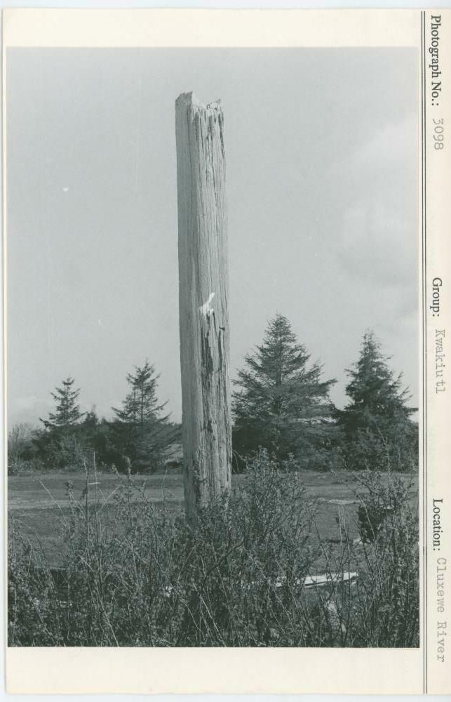 Image representing photograph.