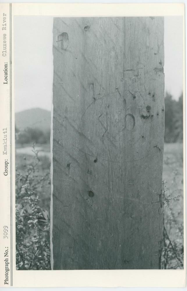 Image representing photograph.