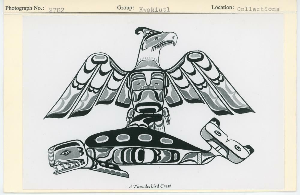 Image representing photograph.