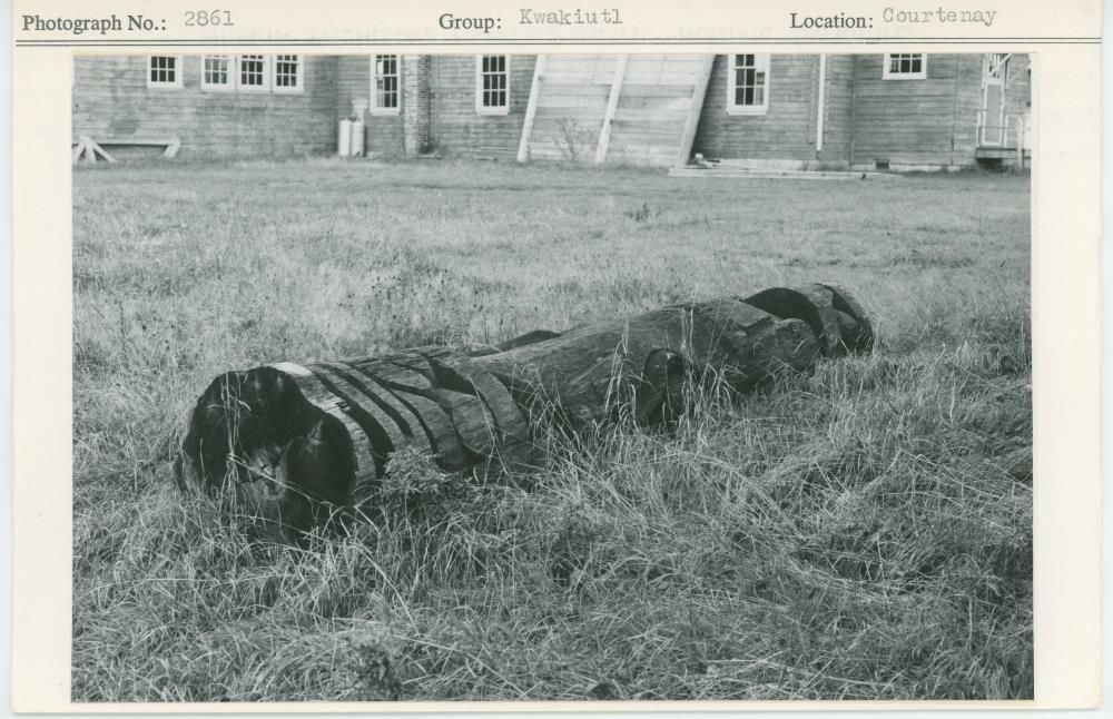 Image representing photograph.