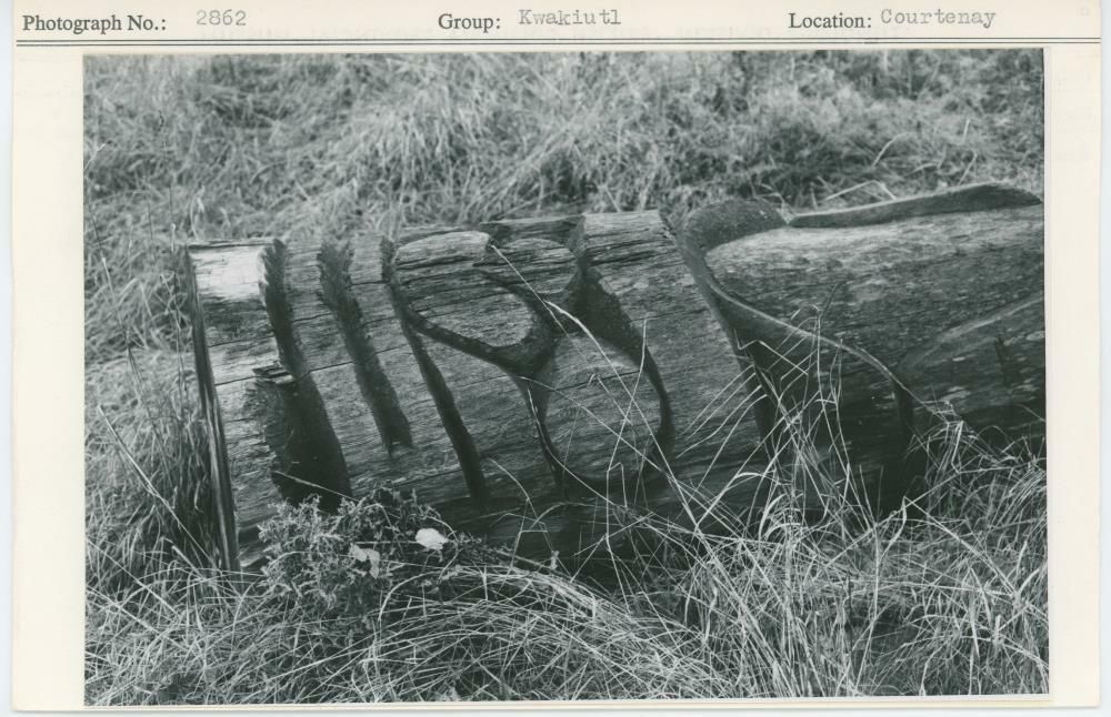 Image representing photograph.