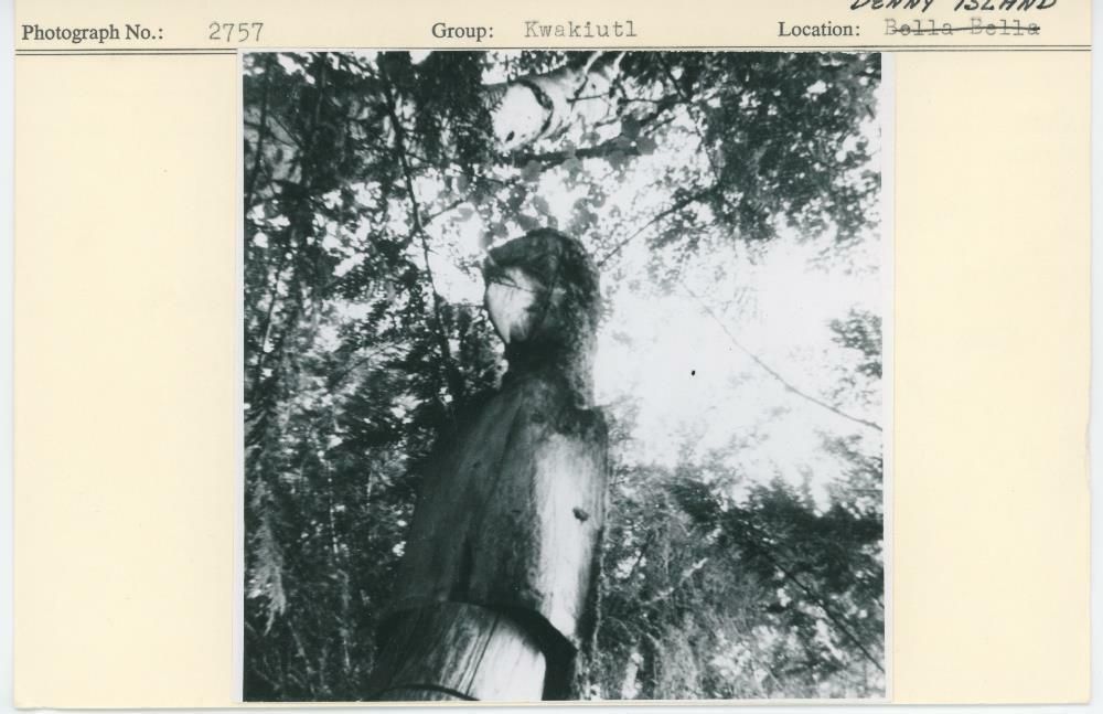 Image representing photograph.