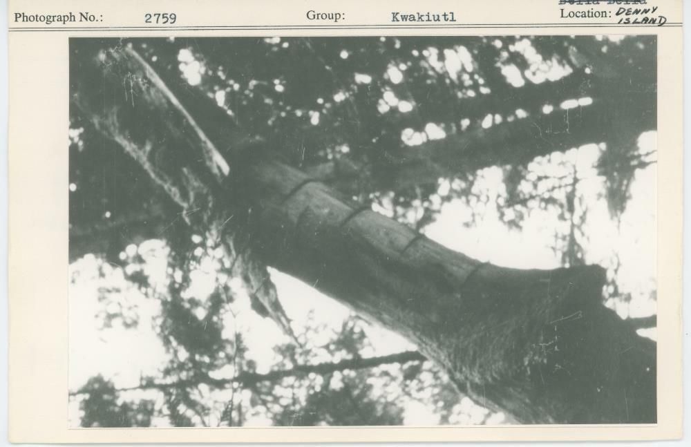 Image representing photograph.