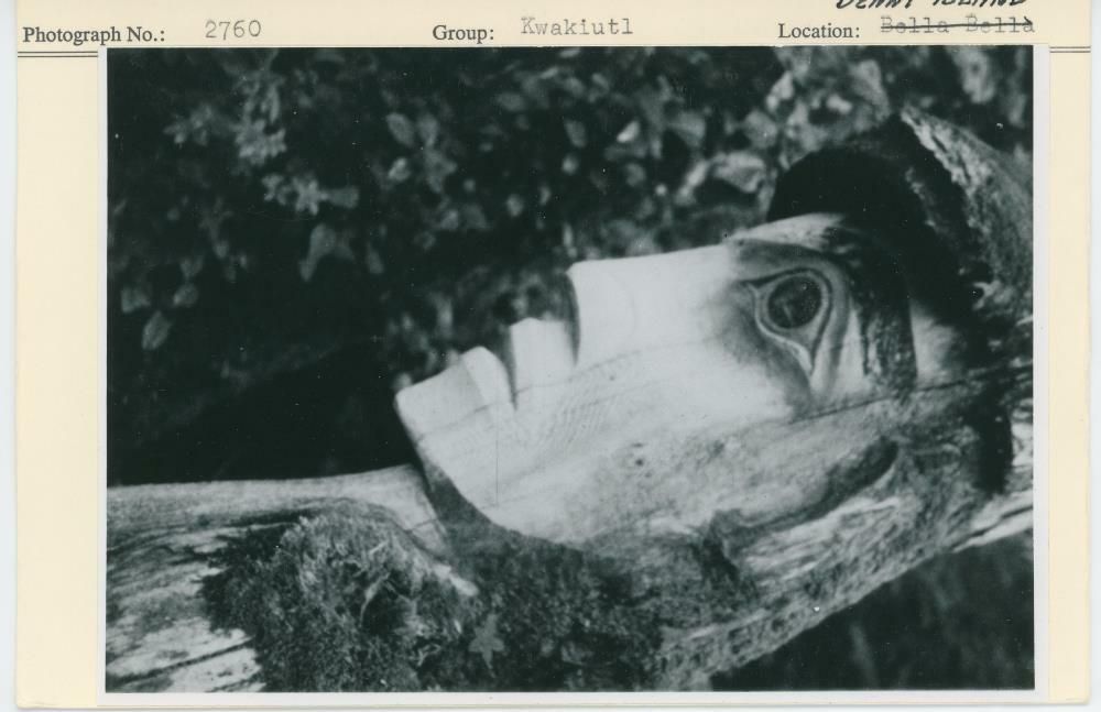 Image representing photograph.