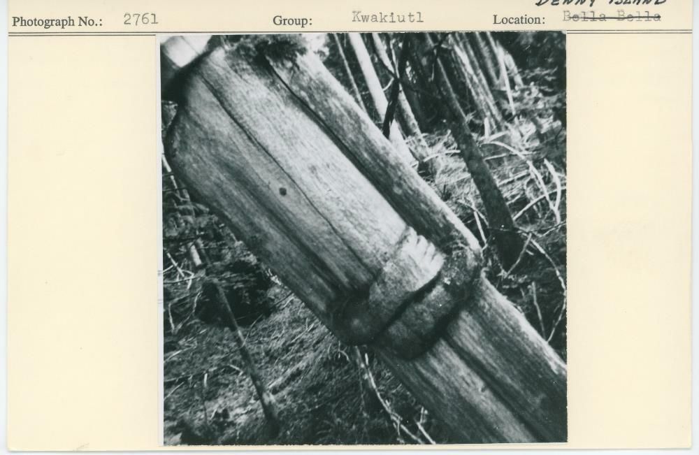 Image representing photograph.