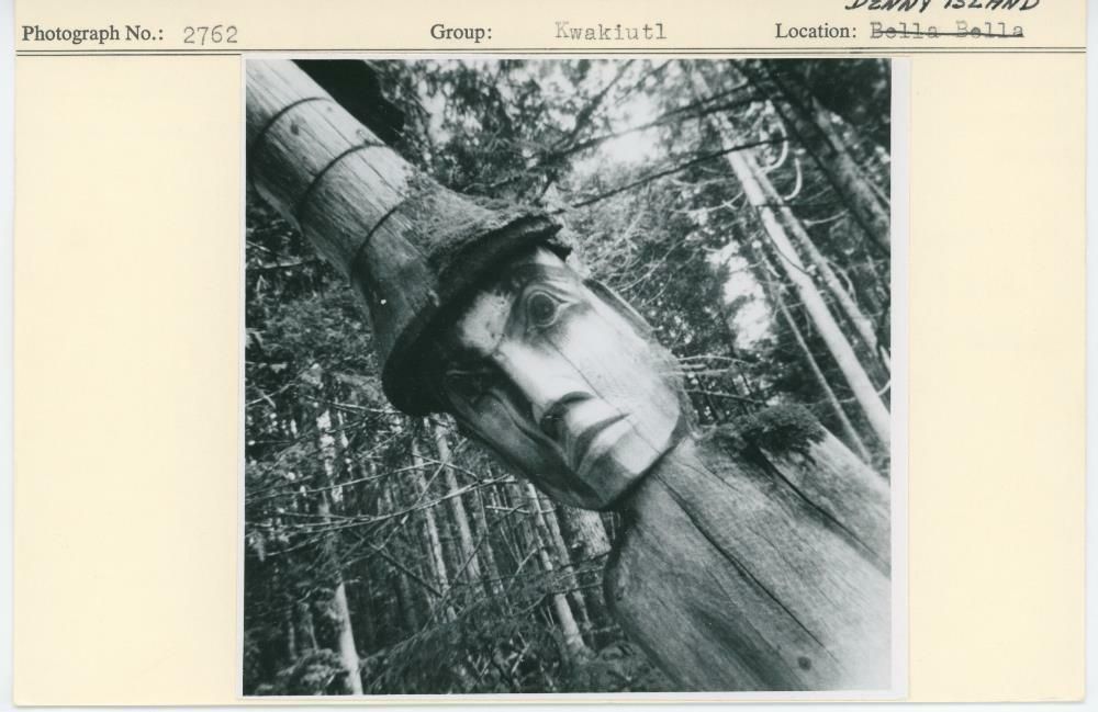 Image representing photograph.