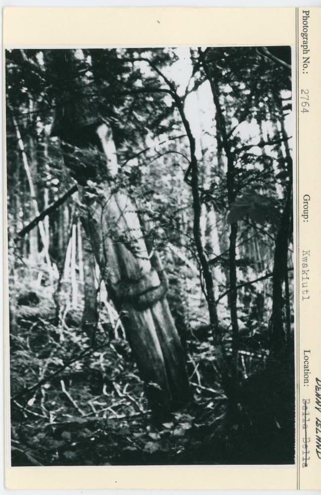 Image representing photograph.