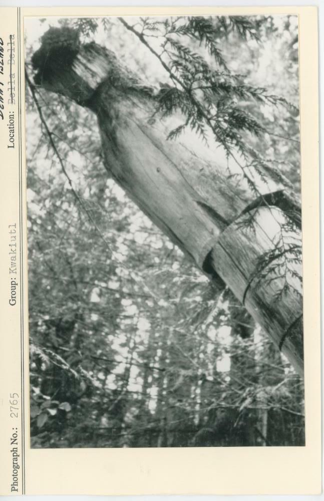 Image representing photograph.