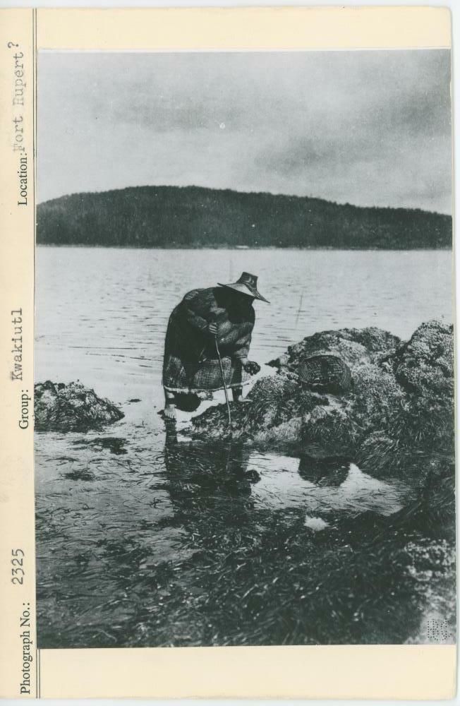 Image representing photograph.