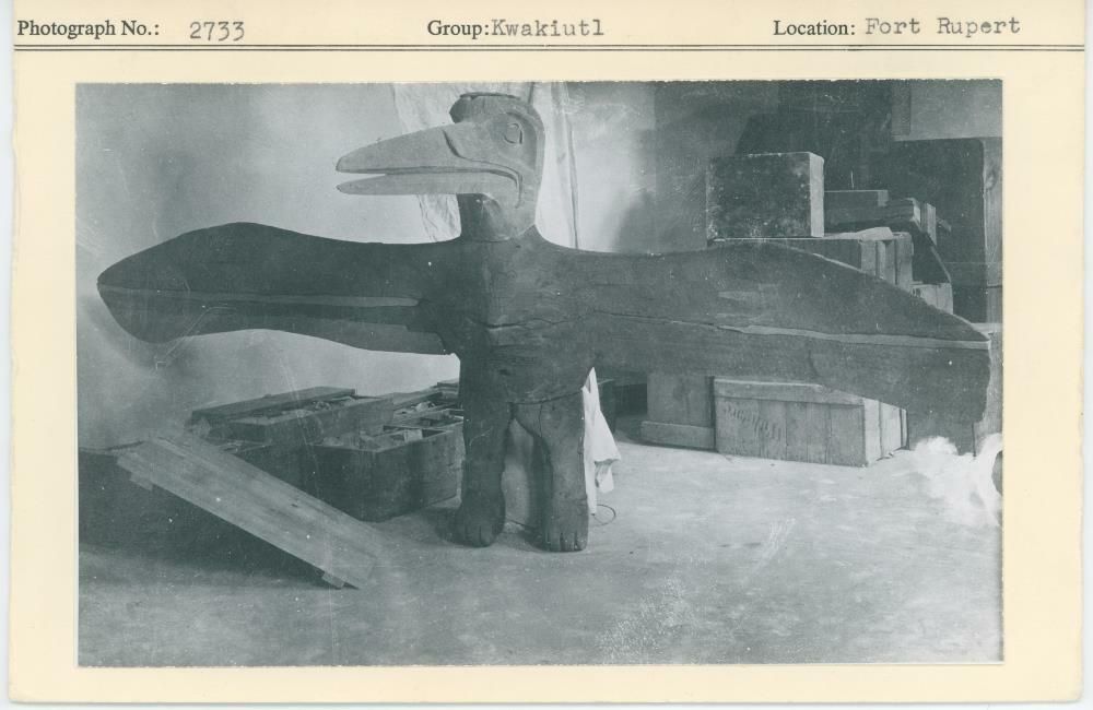 Image representing photograph.