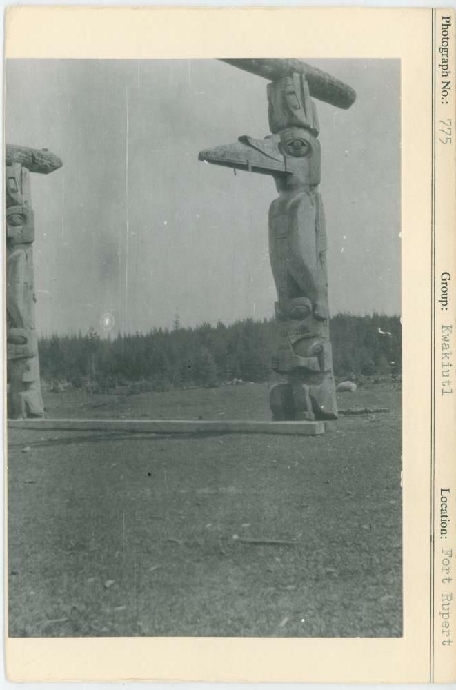 Image representing photograph.