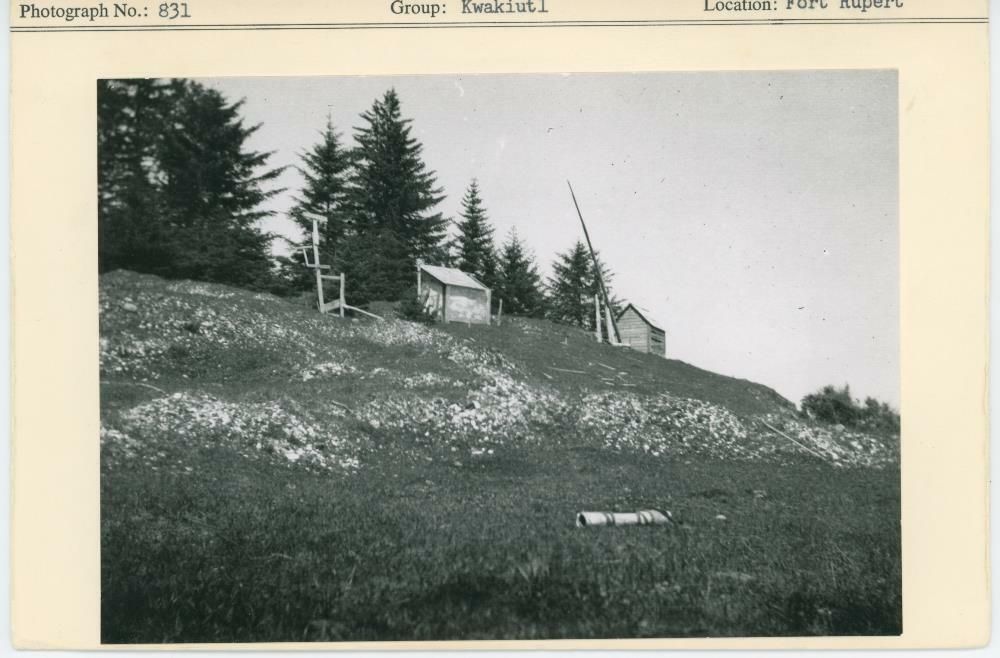 Image representing photograph.