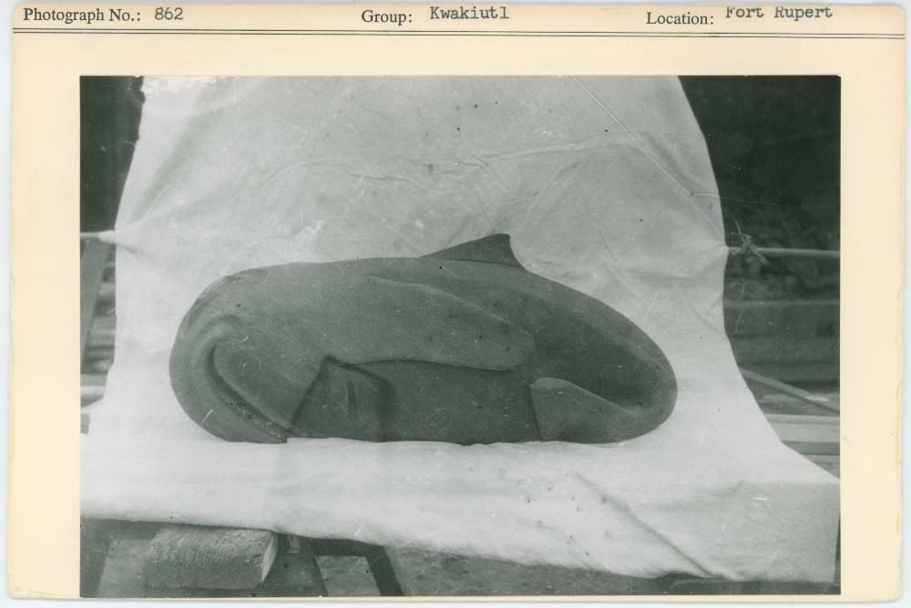 Image representing photograph.