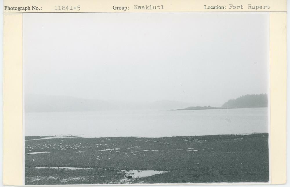 Image representing photograph.