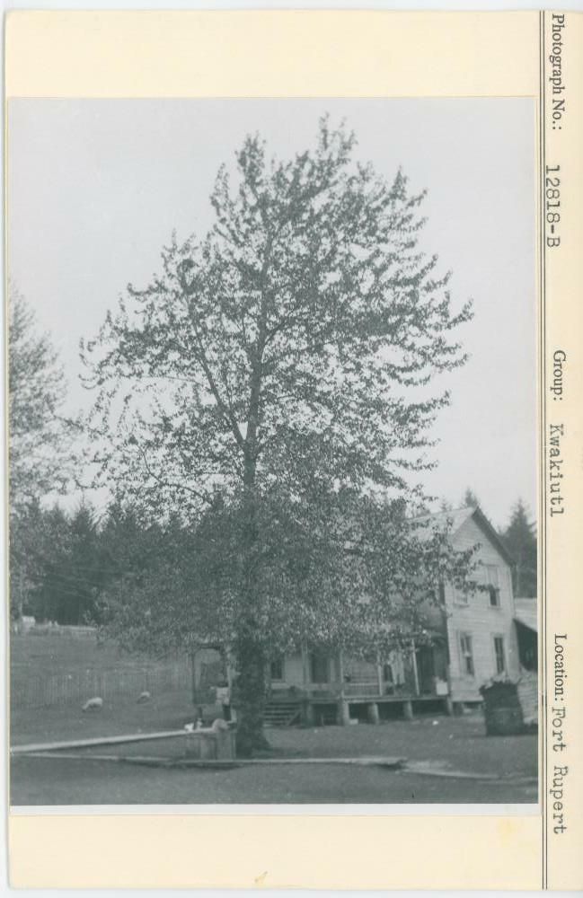 Image representing photograph.