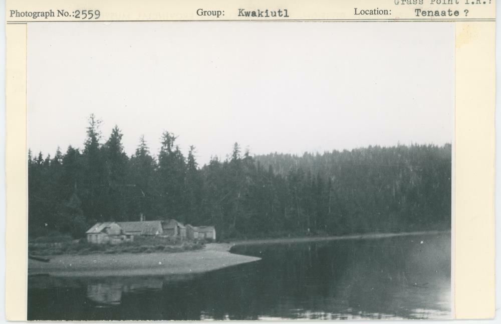 Image representing photograph.