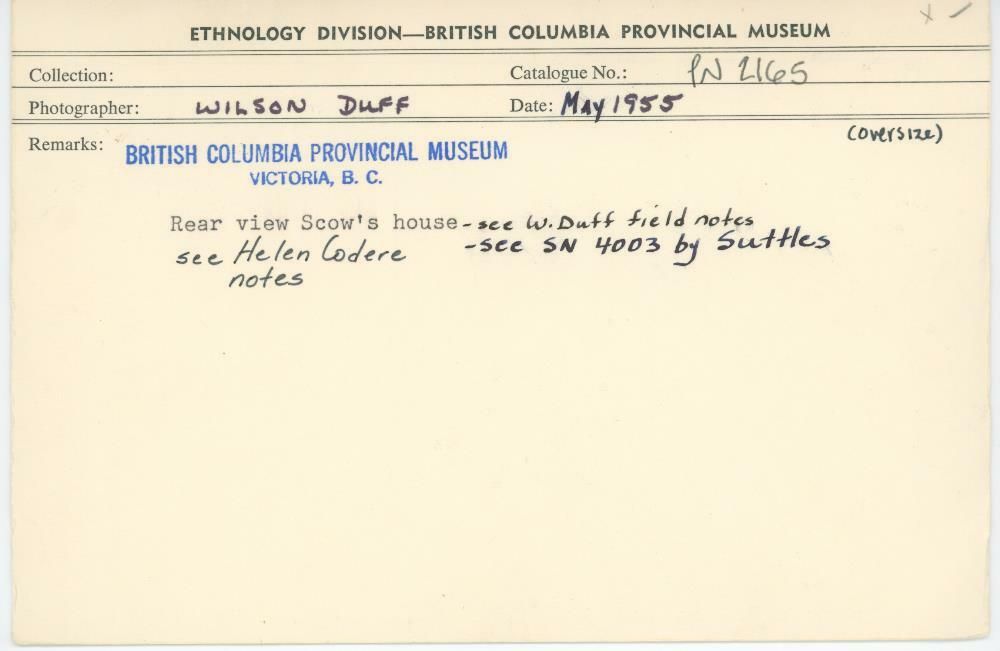 Image representing photograph.