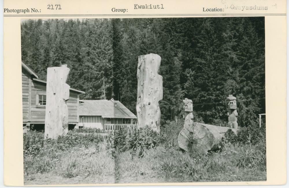 Image representing photograph.