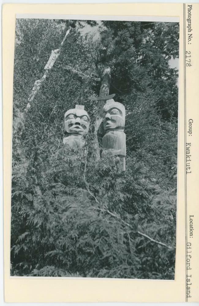 Image representing photograph.