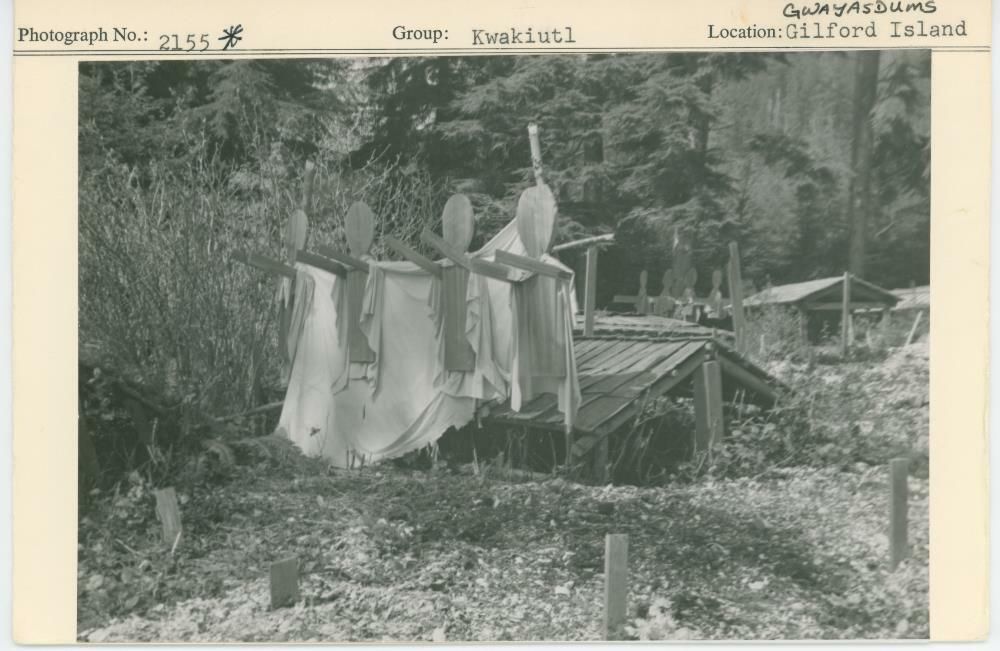 Image representing photograph.