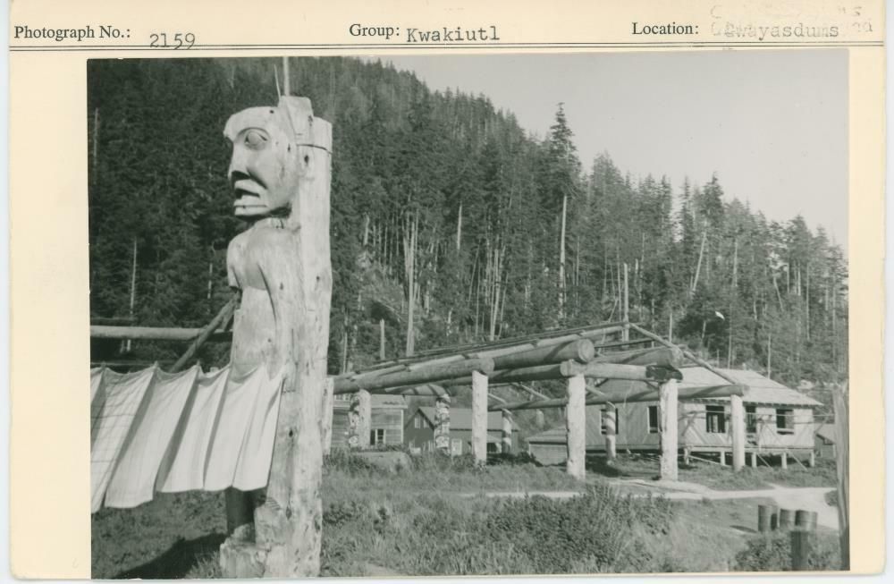 Image representing photograph.