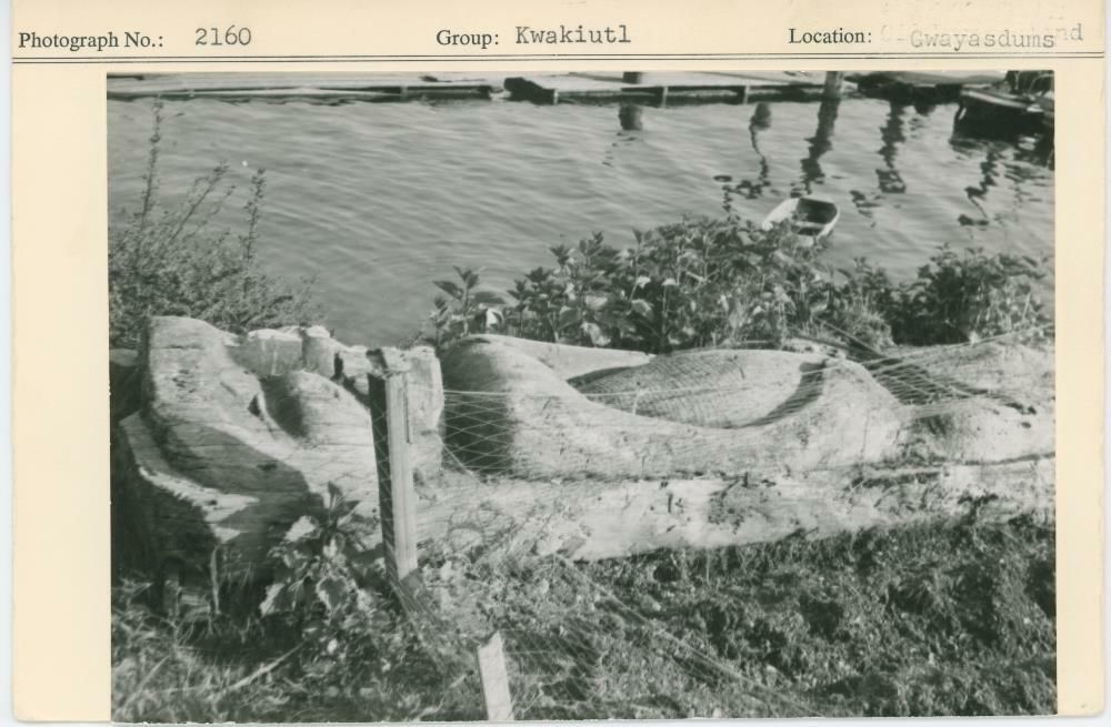 Image representing photograph.