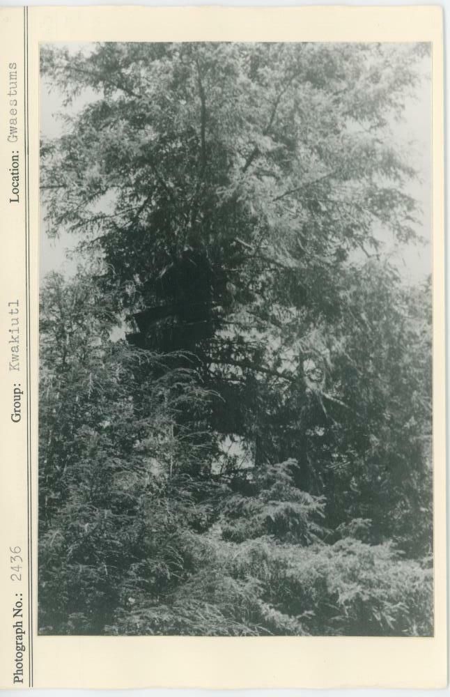 Image representing photograph.