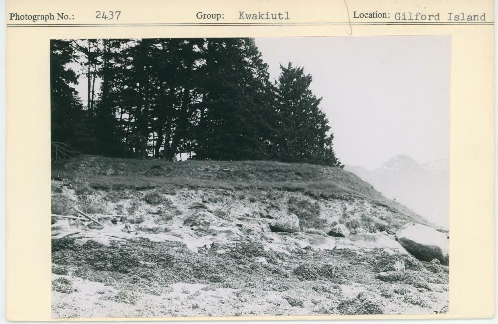 Image representing photograph.