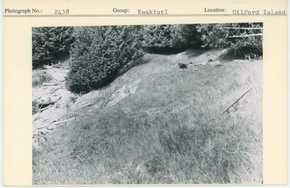 Image representing photograph.