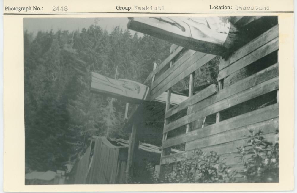 Image representing photograph.