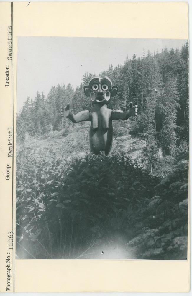 Image representing photograph.