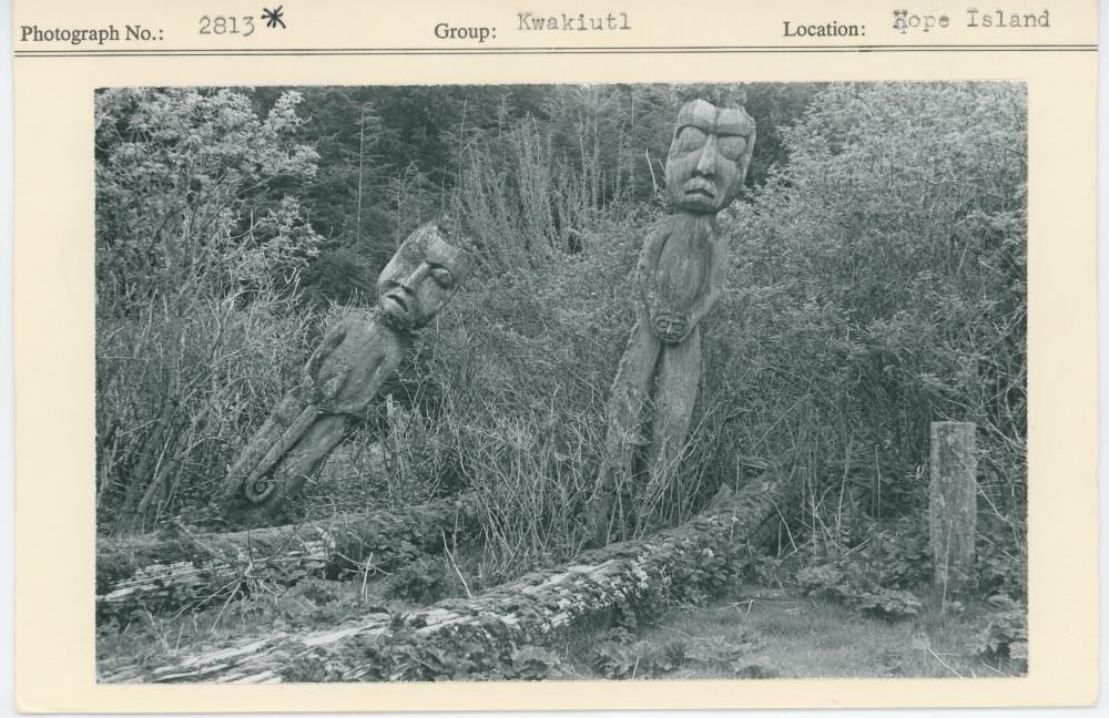 Image representing photograph.