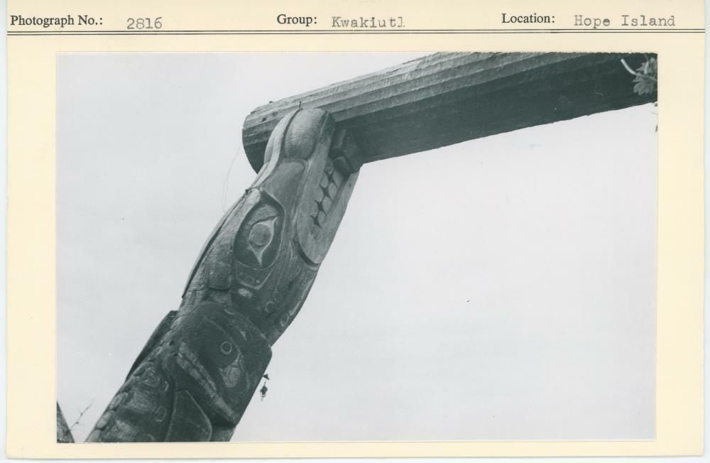 Image representing photograph.