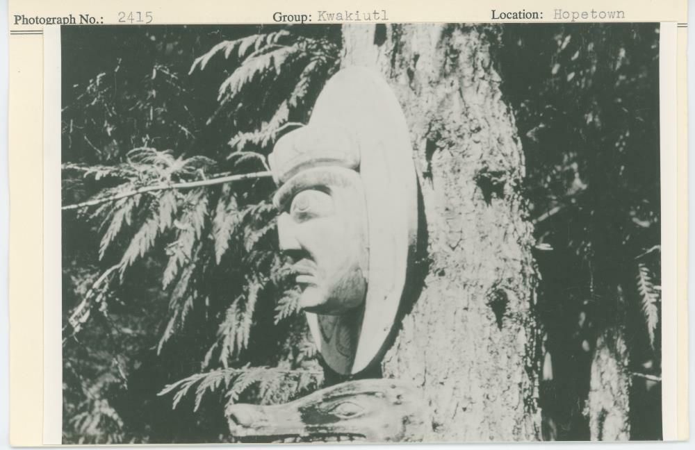 Image representing photograph.