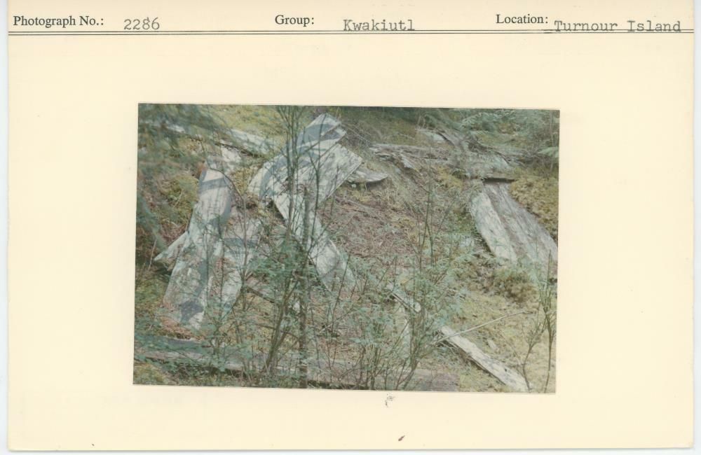 Image representing photograph.