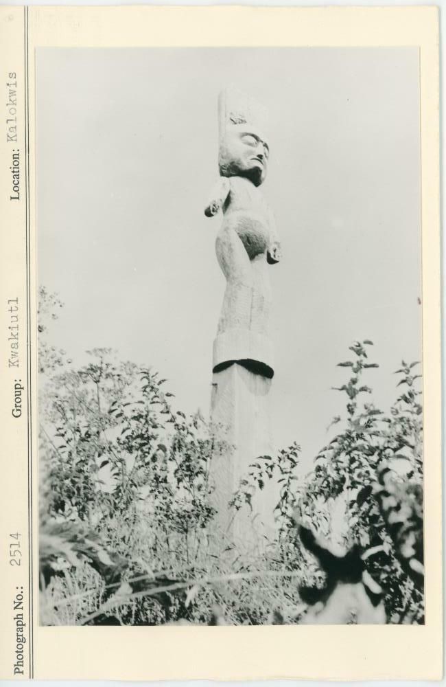 Image representing photograph.