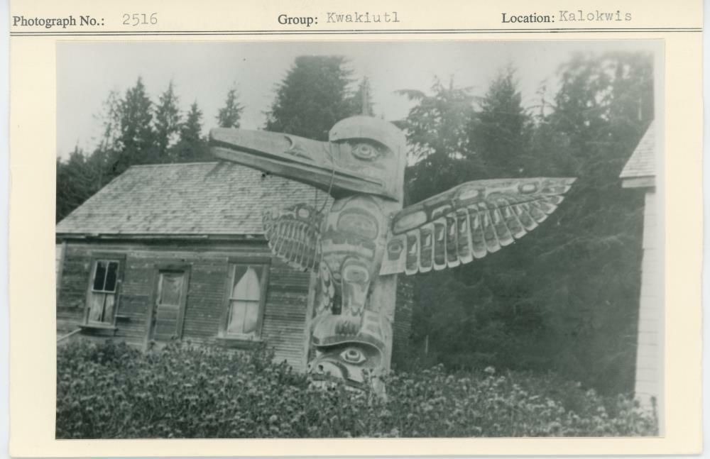 Image representing photograph.