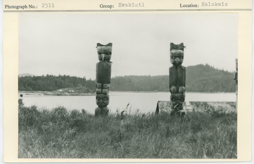 Image representing photograph.