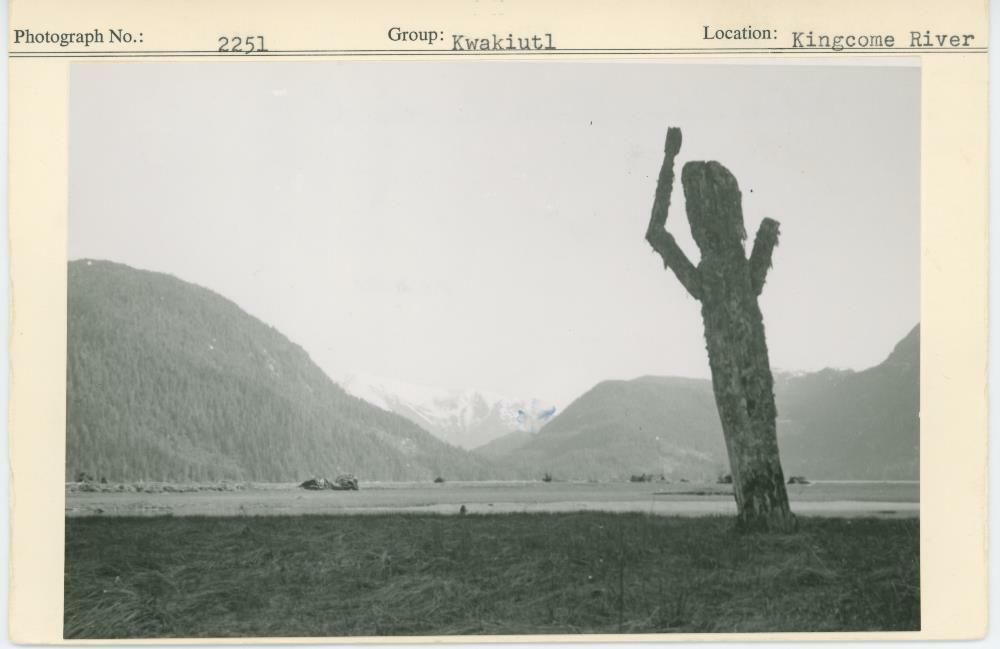 Image representing photograph.